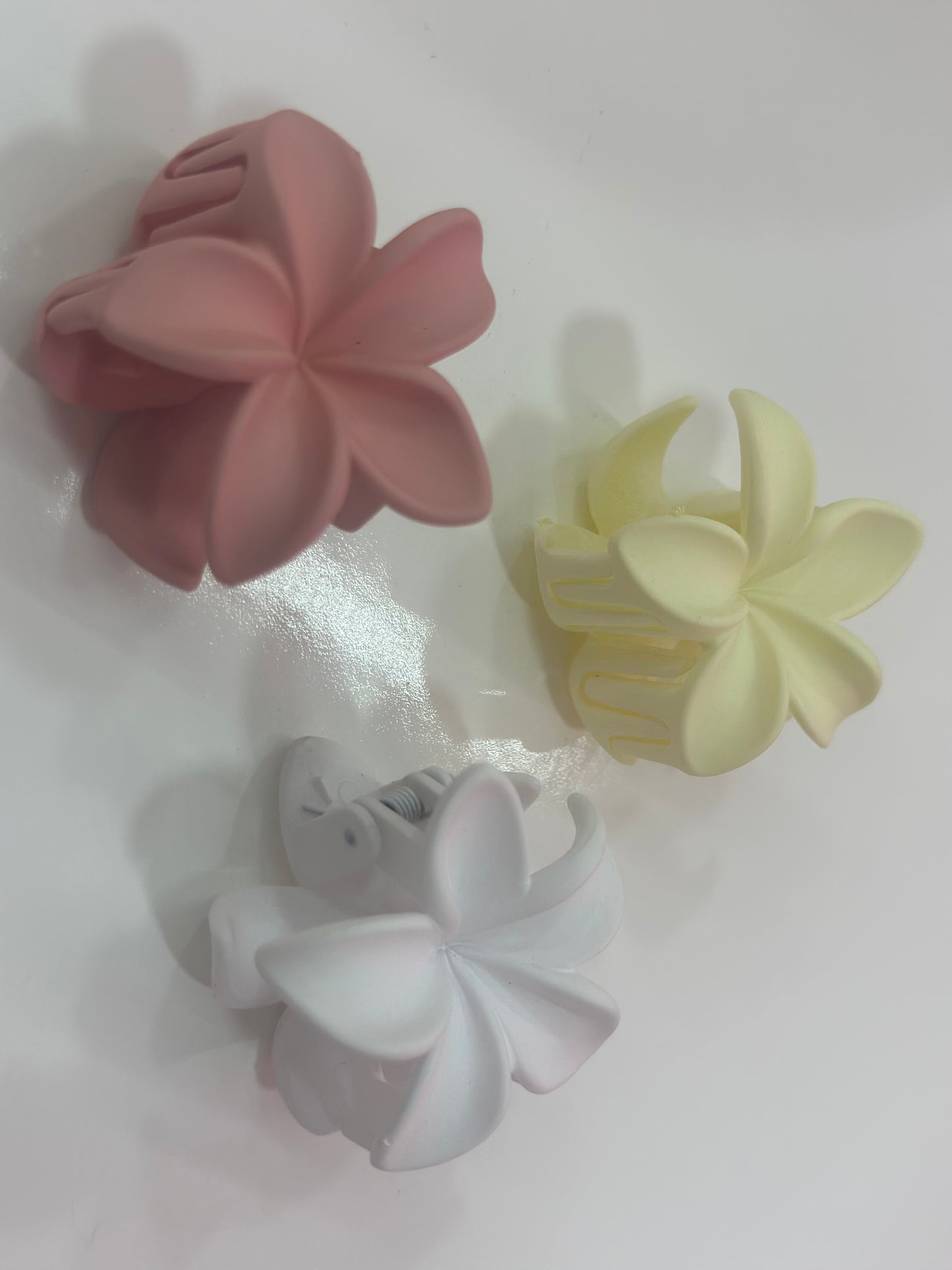 Medium claw clips