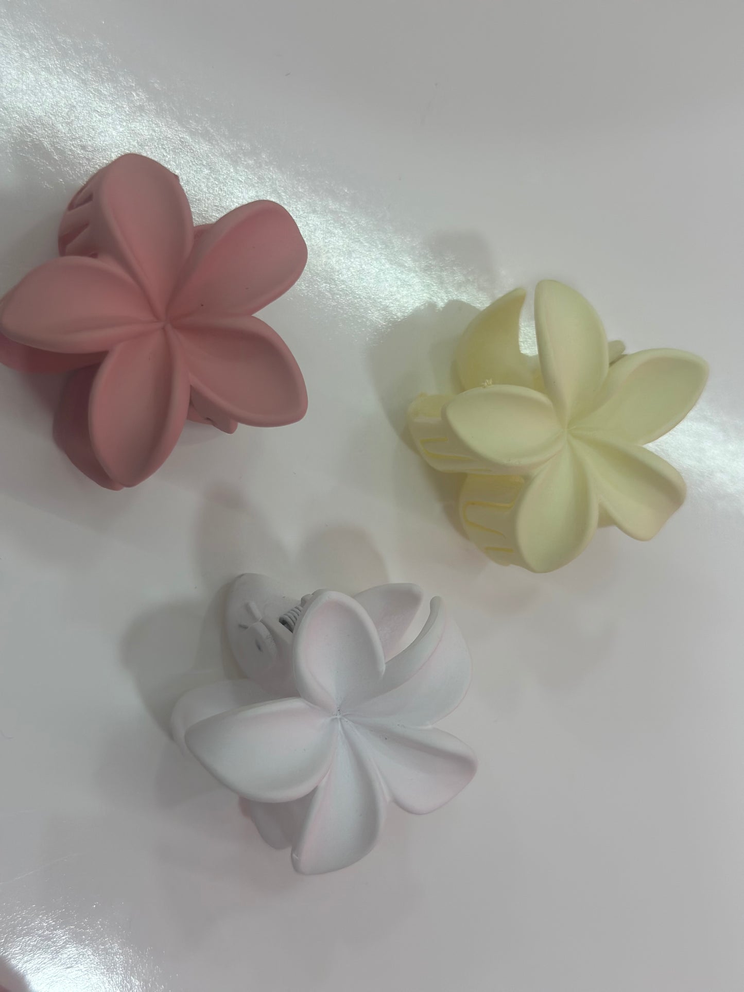 Medium claw clips