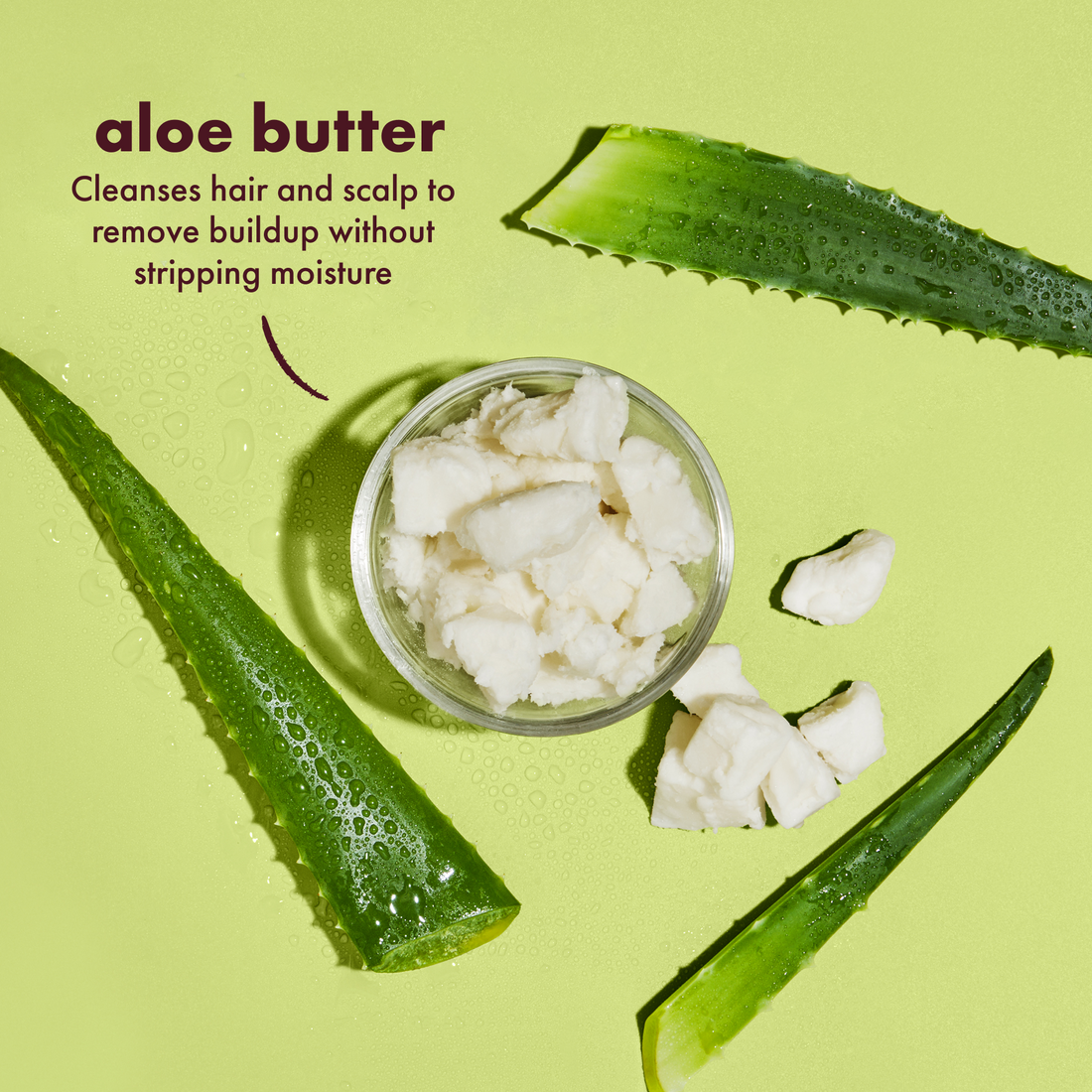 Shea moisture aloe butter scalp moisture cream