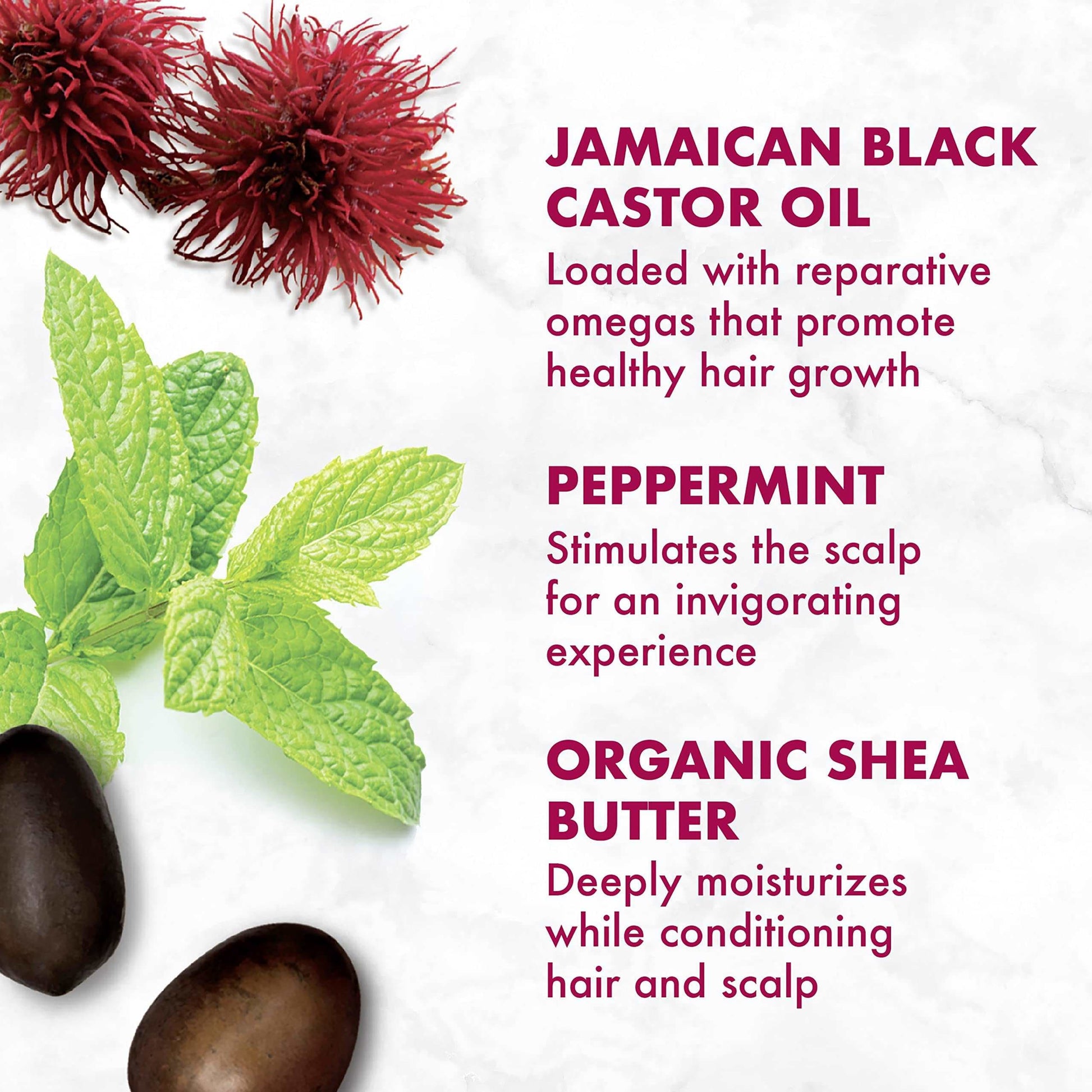 Shea moisture black jamaican castor oil shampoo